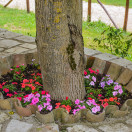 GARDEN FLOWERS